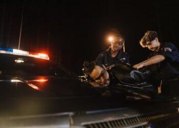 Is Wisconsin A No Fault State