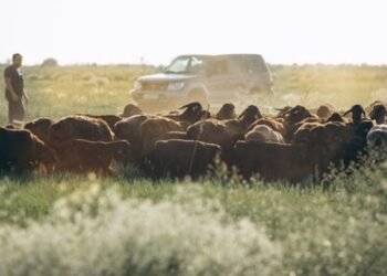 Ranchers and Farmers Mutual Insurance Company Guide