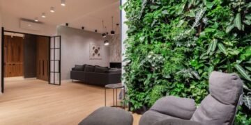 Can You Sue for Mold in ApartmentA Complete Tenant’ s Guide