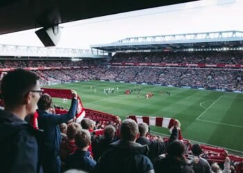 Pokémon Sun Nintendo 3DS ROM Legal Risks of Searching