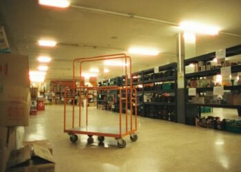 Commercial Pest Control Solutions for Businesses in Conshohocken Pennsylvania