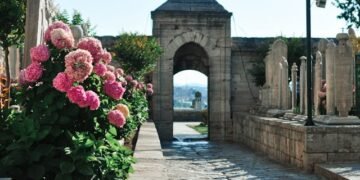 Design Applications for Bluestone Bullnose Stone in Hardscaping