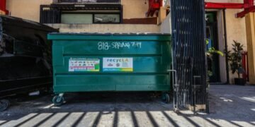 Dumpster Rental Options for Residential and Cleanup Needs in Palatine Illinois