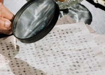 Raffilago Explained A Deep Legal Dive for Curious Minds