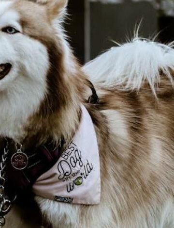 Vicious Dog Laws, Behavior Insights & Safety Guidelines