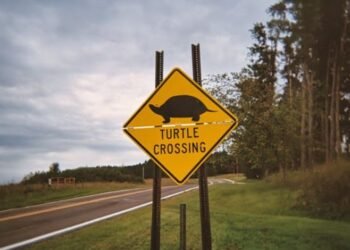 A Diamond-Shaped Sign Is a