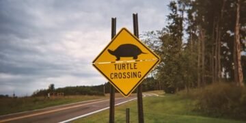 A Diamond-Shaped Sign Is a