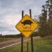 A Diamond-Shaped Sign Is a