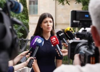 Bella Hadid DUI Facts, Rumors & What’s Real