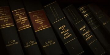 Everything You Need to Know About i-539a