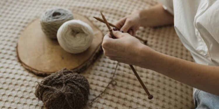 Knitting Needles in Case