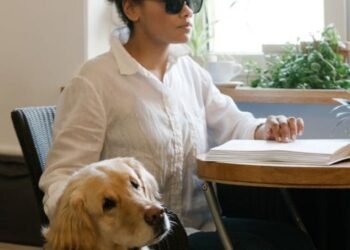 Ohio Attorney General Lawsuit Pawsible Angels Guide