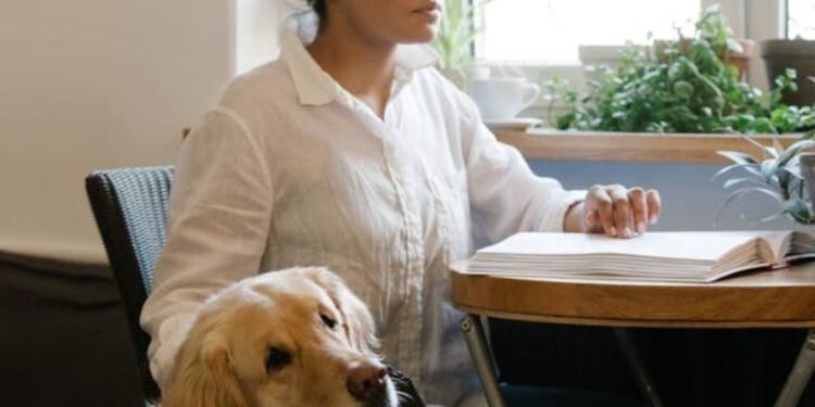 Ohio Attorney General Lawsuit Pawsible Angels Guide