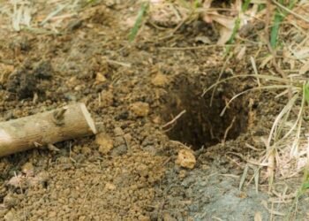 Repair Sewer Line Causes, Signs, Costs & Best Solutions