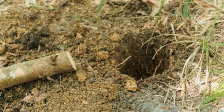 Repair Sewer Line Causes, Signs, Costs & Best Solutions