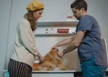 Difference Between Spay and Neuter
