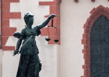 Temu Class Action Lawsuit Canada Consumer Guide