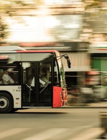 Abogado D Accidentes de Autobuses Legal Help Guide